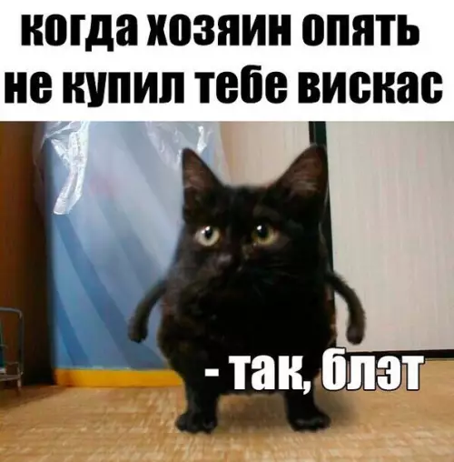 Смешная картинка №208517