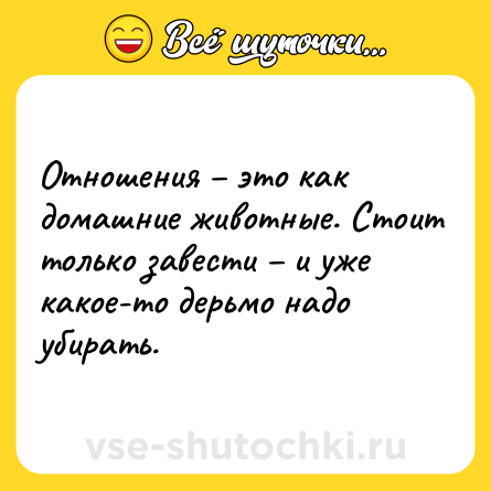Шутка: Отношения – это как домашние животные. Стоит только завести – и уже какое-то дерьмо надо убирать.