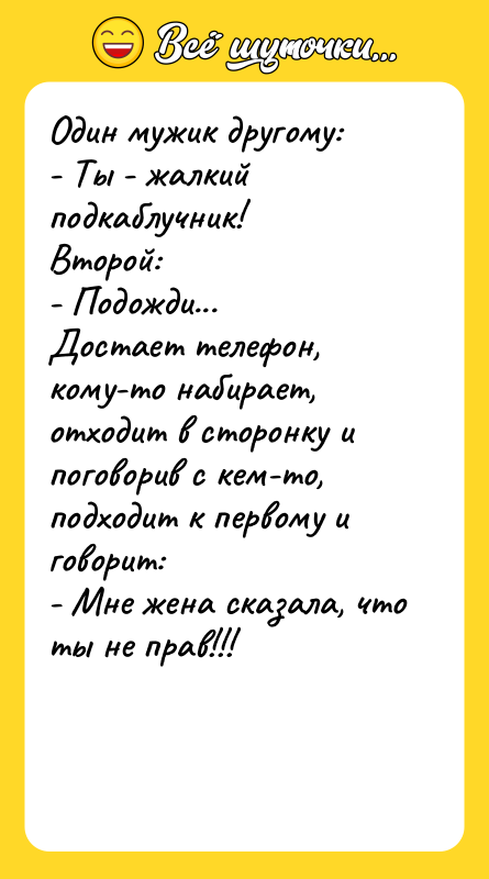 Один мужик другому: - Ты - жалкий подкаблучник!