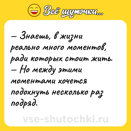 Шутка: — Знаешь, в жизни реально много моментов, ради которых стоит жить.<br>— Но между этими моментами хочется подохнуть несколько раз подряд.