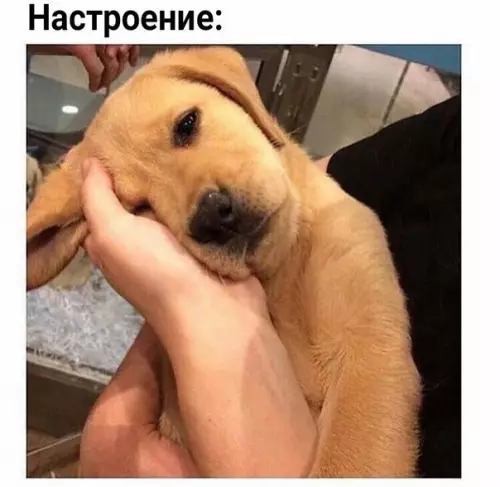 Смешная картинка №223147