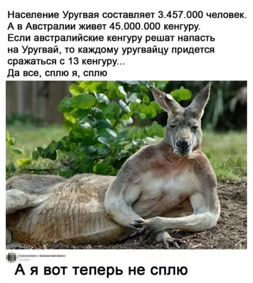 Смешная картинка №507595 я теперь тоже спать боюсь.....