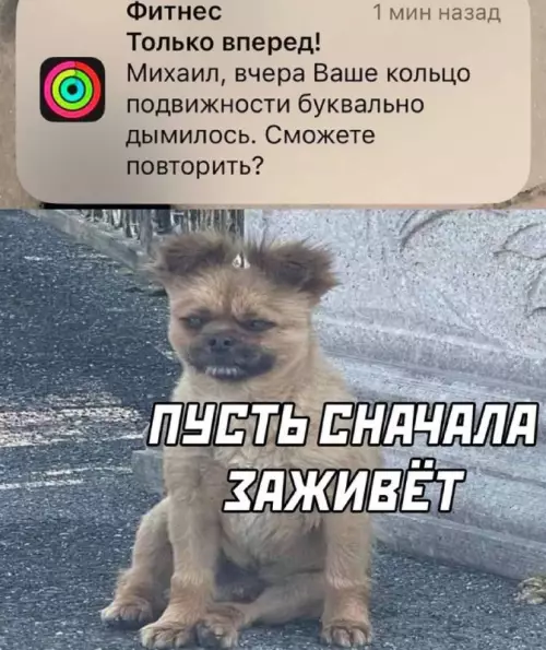 Смешная картинка №678572