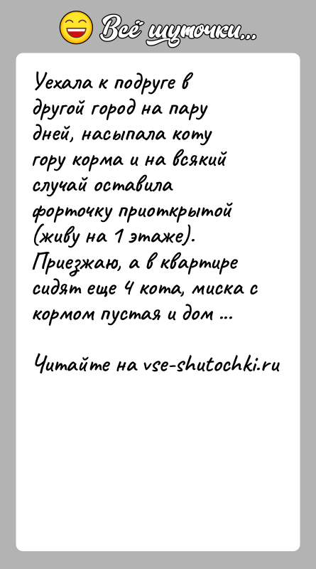 История: Уехала к подруге в другой город на пару дней, насыпала коту гору корма и на всякий случай оставила форточку приоткрытой
