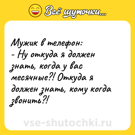 Шутка: Мужик в телефон:<br>- Ну откуда я должен знать, когда у вас месячные?! Откуда я должен знать, кому когда звонить?!