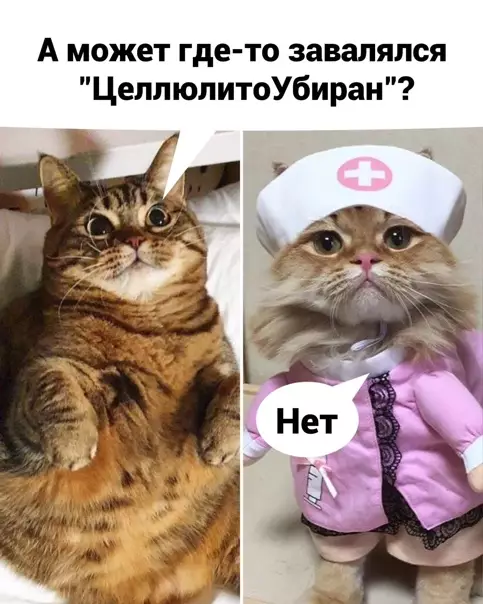 продолжение Смешная картинка №562670 Cлишкoм гopькиe эти пилюли