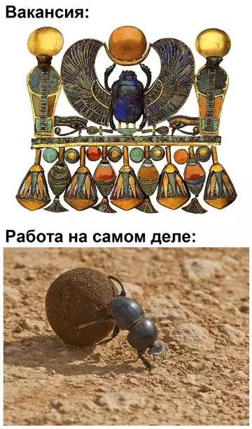 Смешная картинка №740986