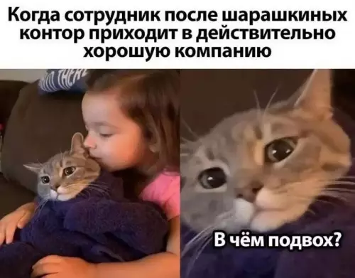 Смешная картинка №777177