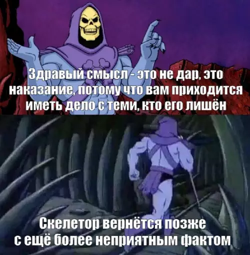 Скелетор плохого не посоветует 💀 - Здравый смысл - это не дар, это наказание, потому что