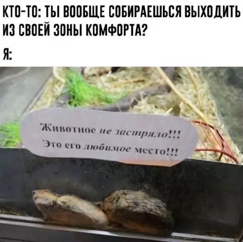Смешная картинка №674812