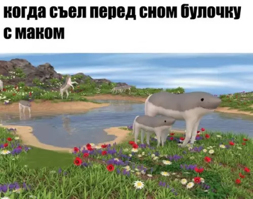 Смешная картинка №228989