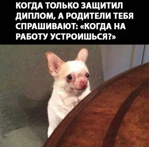 Смешная картинка №280202