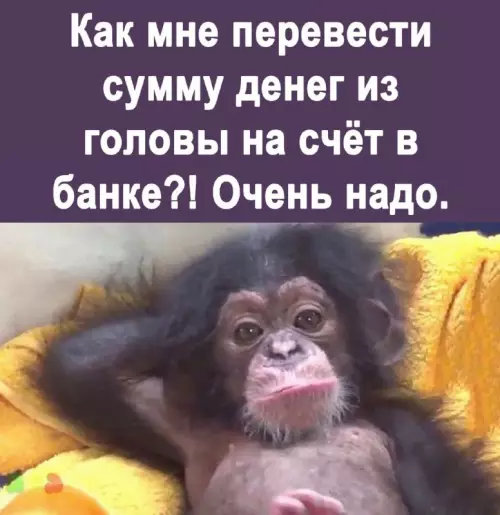 Смешная картинка №666650