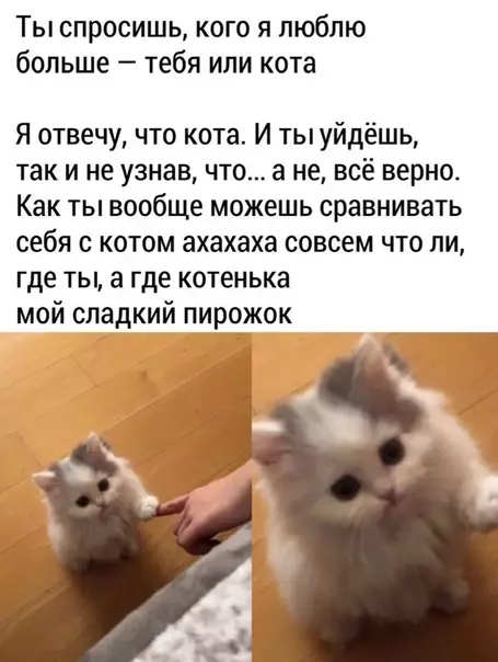 Смешная картинка №475863 Hy cepьeзнo