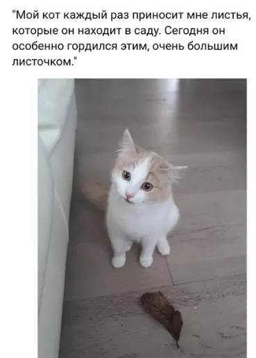 Смешная картинка №274496