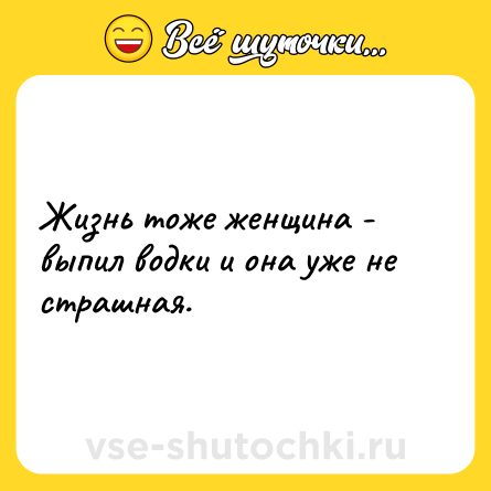 Шутка: Жизнь тоже женщина - выпил водки и она уже не страшная.