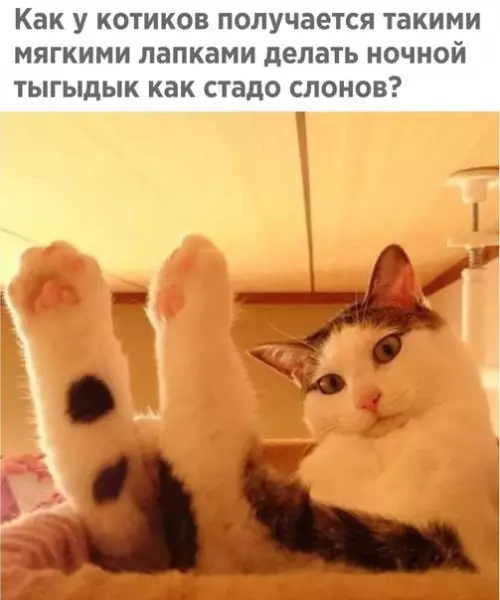 Смешная картинка №267643