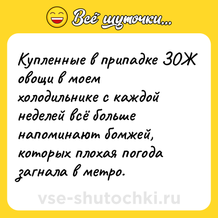 Шутка: Купленные в припадке ЗОЖ овощи в моем холодильнике с каждой неделей всё больше напоминают бомжей, которых плохая погода загнала в метро.