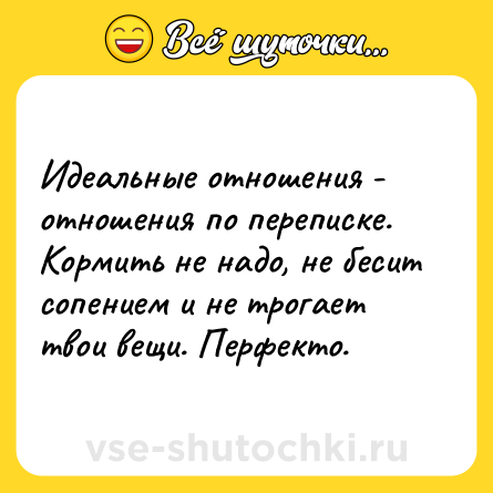 Шутка: Идеальные отношения - отношения по переписке. Кормить не надо, не бесит сопением и не трогает твои вещи. Перфекто.