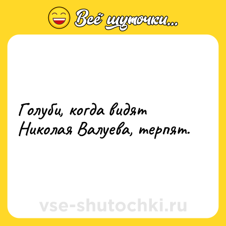 Шутка: Голуби, когда видят Николая Валуева, терпят.