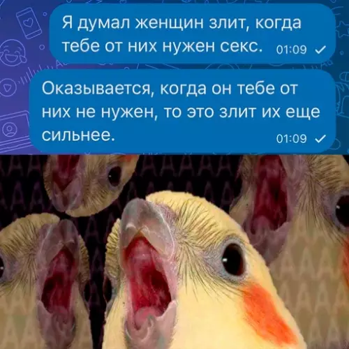 Смешная картинка №714093