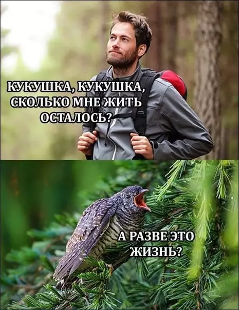 Смешная картинка №353557