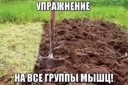 Смешная картинка №175331 лопата, огород