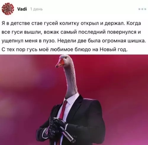 Смешная картинка №658932