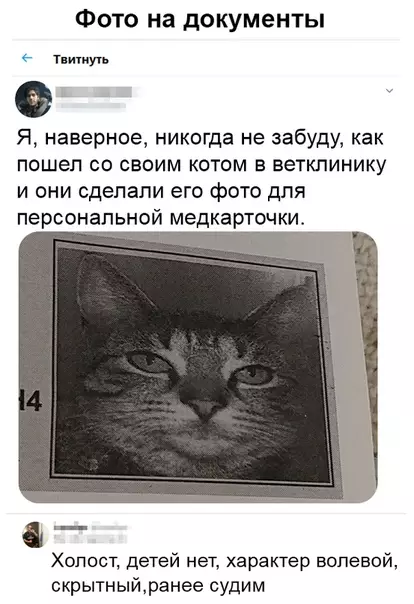 Смешная картинка №480505 Очень суровый кот, с ним лучше не связываться.