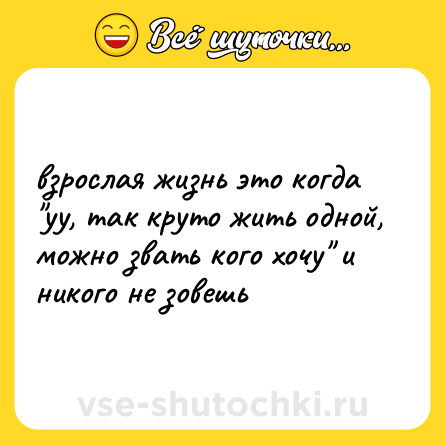 Шутка: взрослая жизнь это когда 