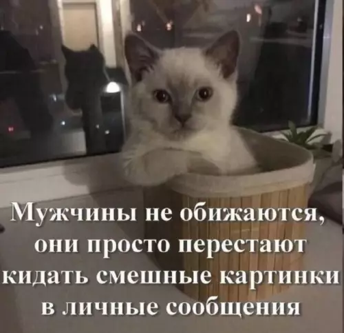 Тихий уход в закат: как понять, что всё плохо 😿 - Мужчины не обижаются, они просто перестают кидать смешные картинки в