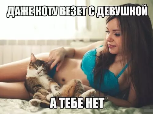 Смешная картинка №176380