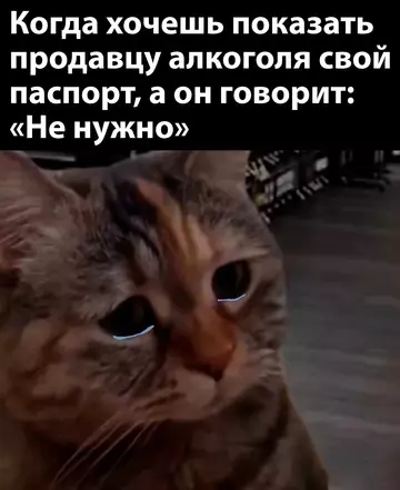 Смешная картинка №763133
