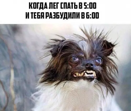Смешная картинка №193003