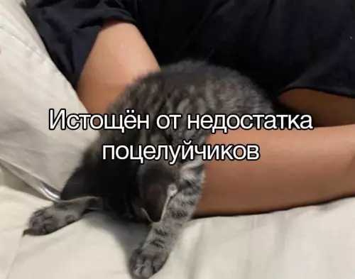 Смешная картинка №682247