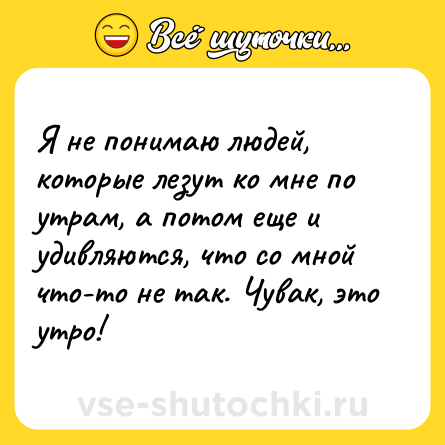 Шутка: Я не понимаю людей, которые лезут ко мне по утрам, а потом еще и удивляются, что со мной что-то не так. Чувак, это утро!