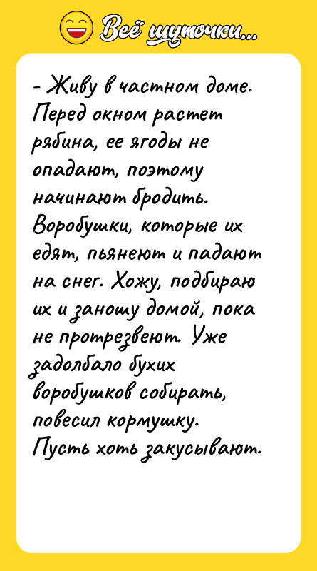 - Живу в частном доме. Перед окном растет рябина, ее