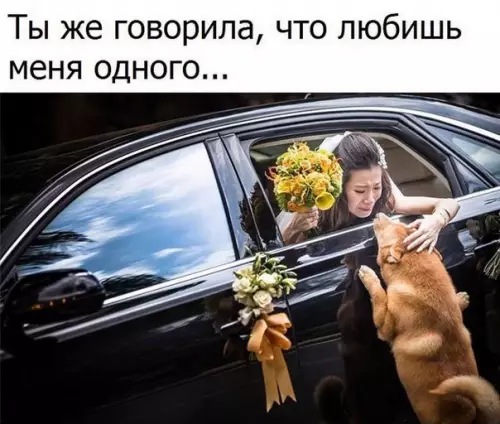 Смешная картинка №175984