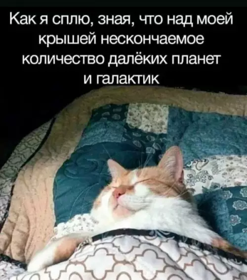 Смешная картинка №734809