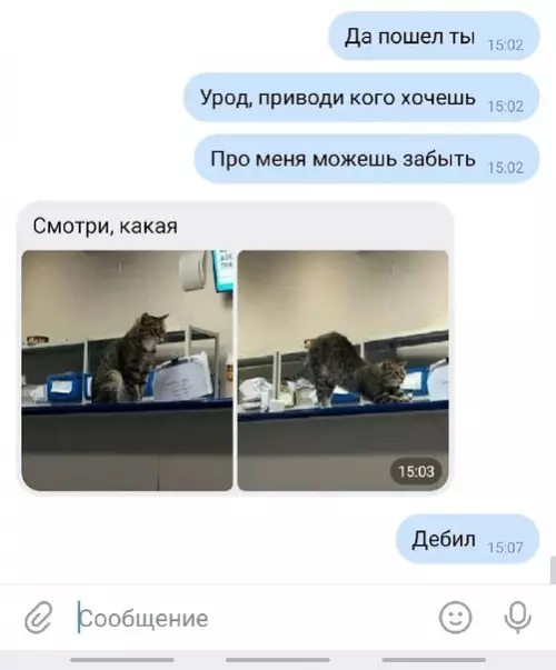 продолжение Смешная картинка №580227 Типичный мужской юмор: