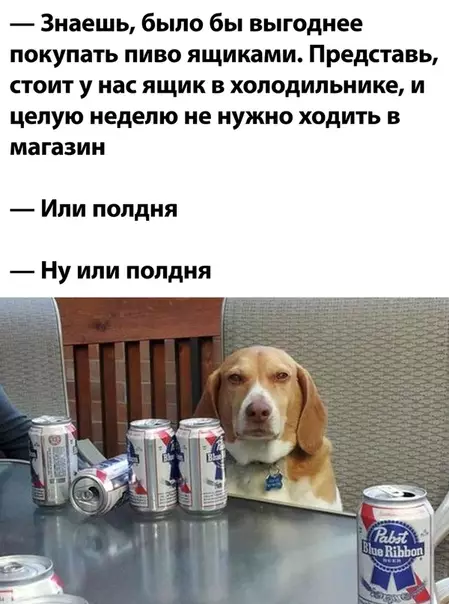 Смешная картинка №508351
