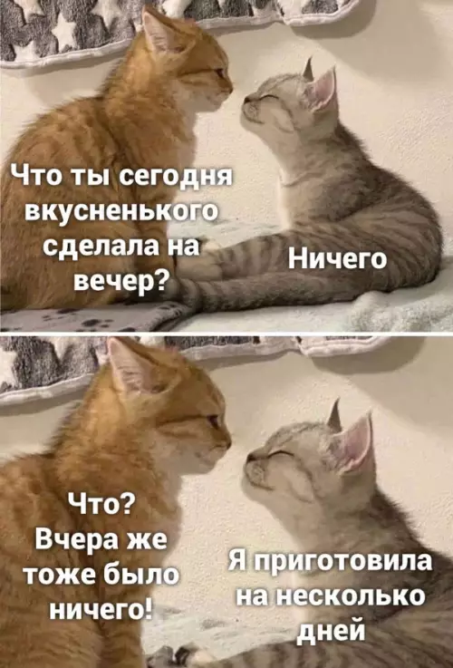 Смешная картинка №652037