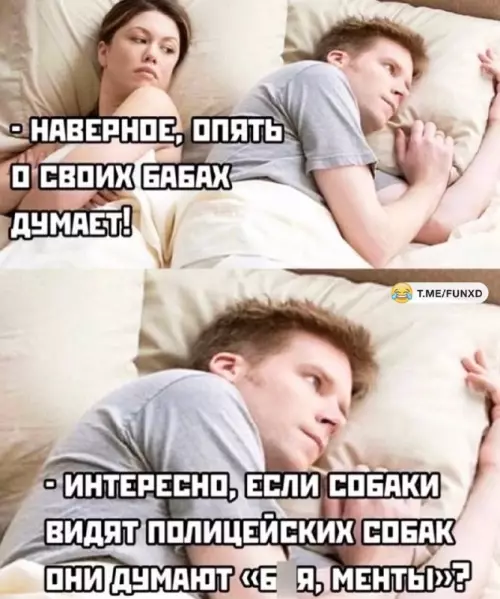 Смешная картинка №666131