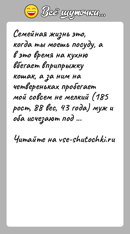 История: Семейная жизнь это, когда ты моешь посуду, а в это время на кухню вбегает вприпрыжку кошак, а за ним на