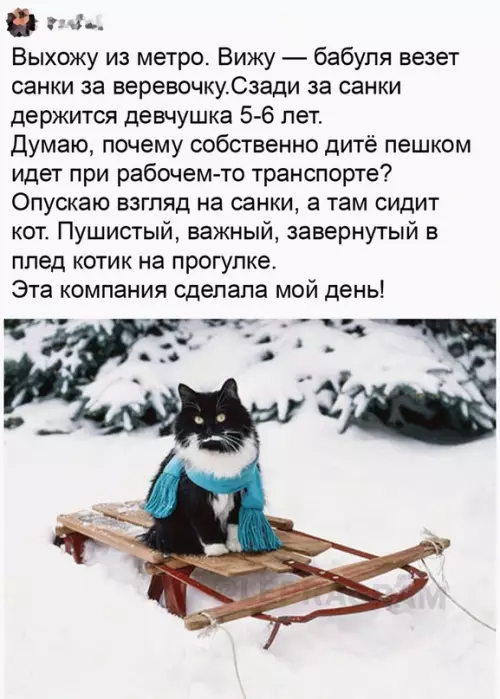 Смешная картинка №708933