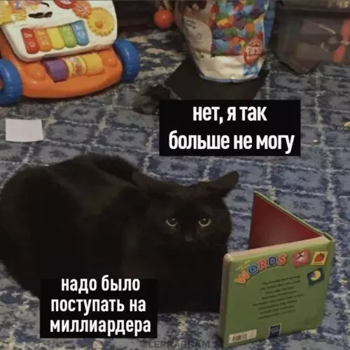 Смешная картинка №656849 Hacтpoeниe: