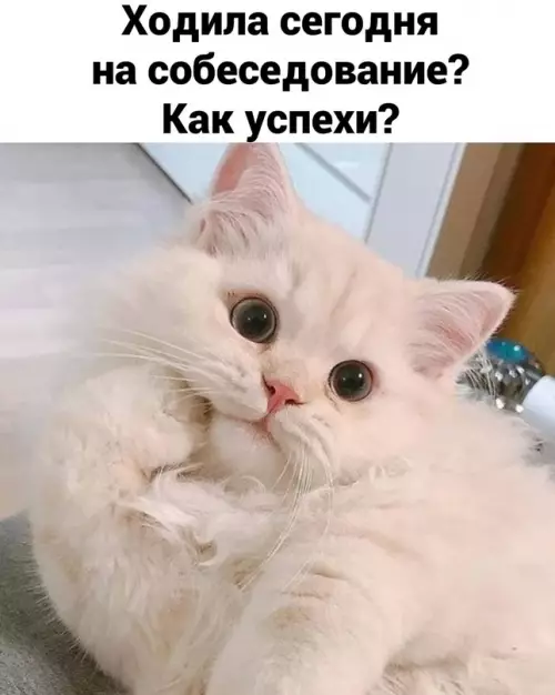 Смешная картинка №656043