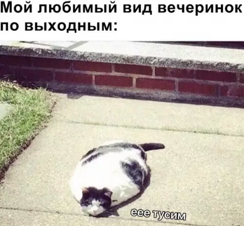Смешная картинка №475885