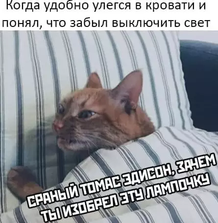 Смешная картинка №541106