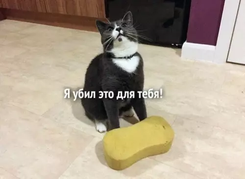 Смешная картинка №682047